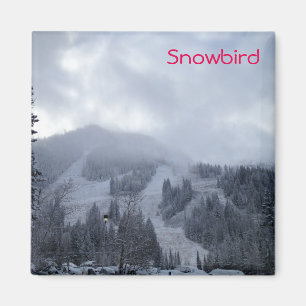 Imán Snowbird