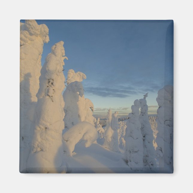 Imán Snowghosts al atardecer en la montaña Whitefish 2 (Frente)