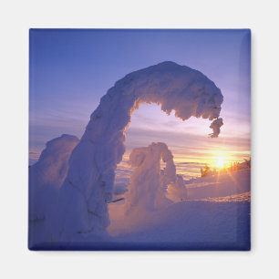 Imán Snowghosts en la cordillera de peces blancos de Mo