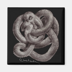 Imán "Snowl" Eco Fridge Magnet