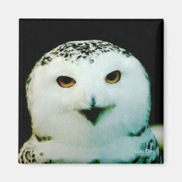 Imán Snowley Owl Magnet