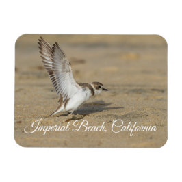 Imán Snowowy Plover Stretch Imperial Beach California