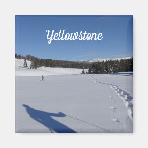 Imán Snowshoeing en el Parque Nacional Yellowstone