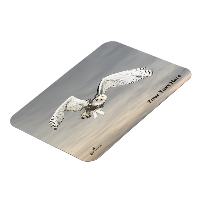 Imán Snowy Owl (Lado Izquierdo)