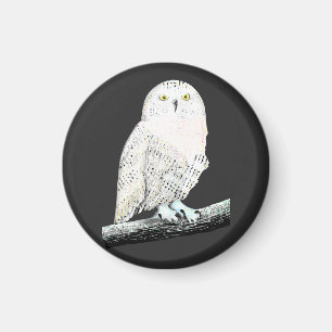 Imán Snowy Owl