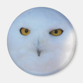 Imán Snowy Owl