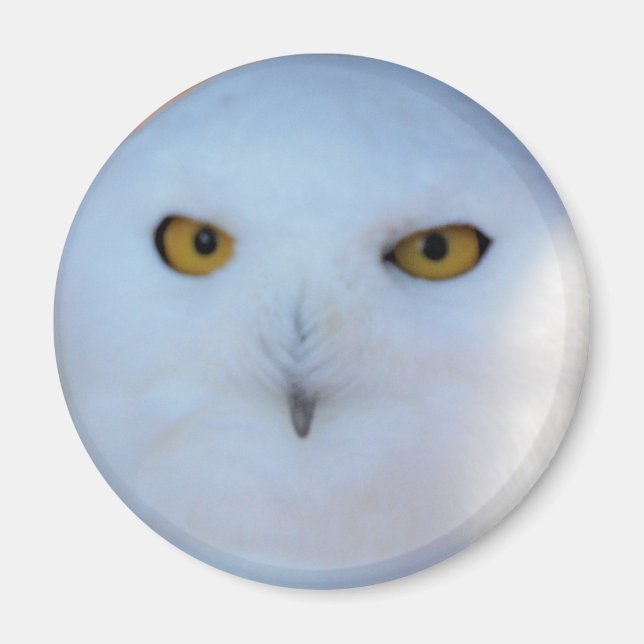 Imán Snowy Owl (Frente)