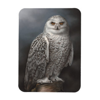 Imán Snowy Owl Photo Magnet