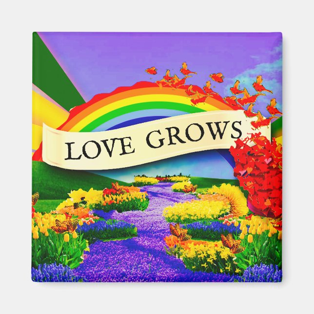 IMÁN SOBRE EL LLUVIA (Frente)