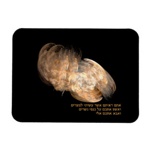 Imán Sobre las alas de Águila