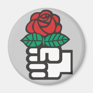 Imán socialista