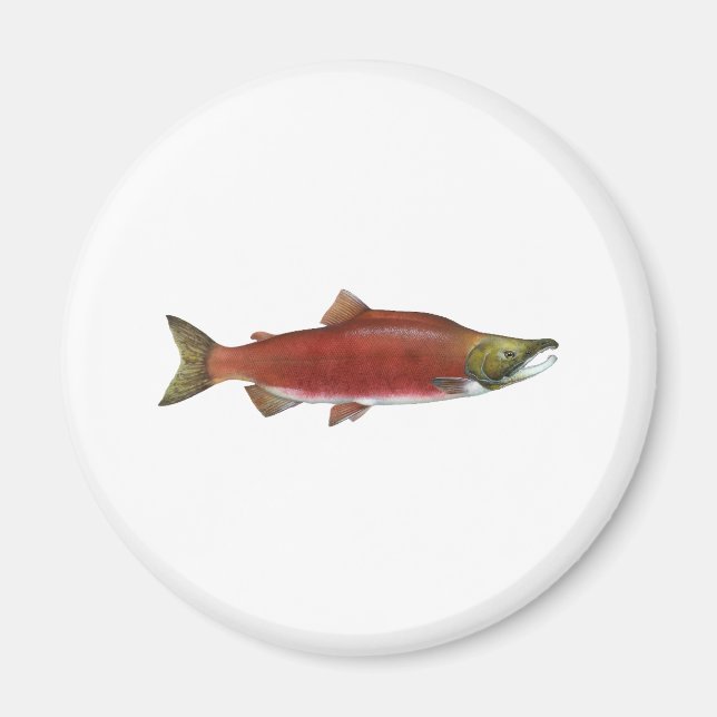 Imán Sockeye Salmon (Frente)