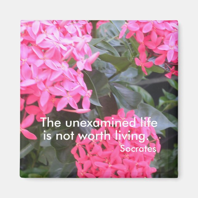 Imán Sócrates Motivational Quotation Magnet (Frente)