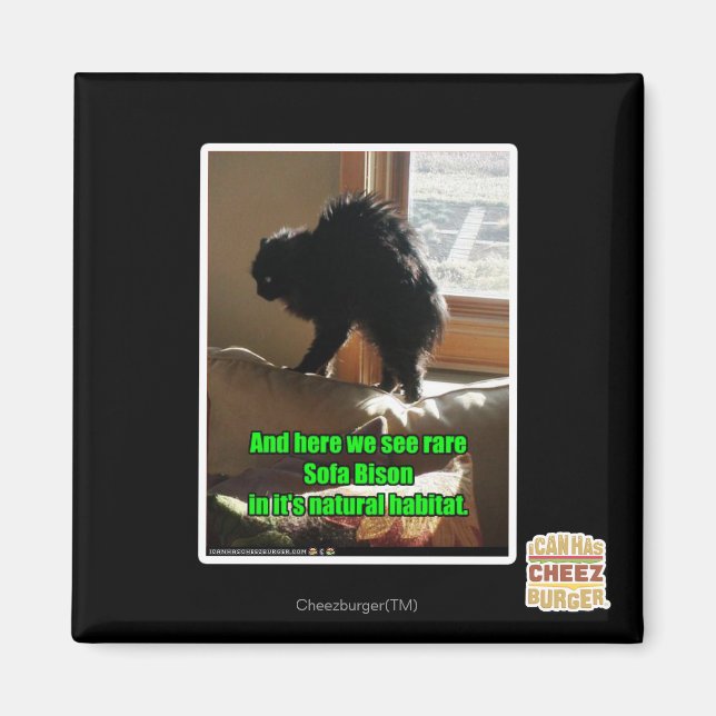 Imán Sofa Bison (Frente)