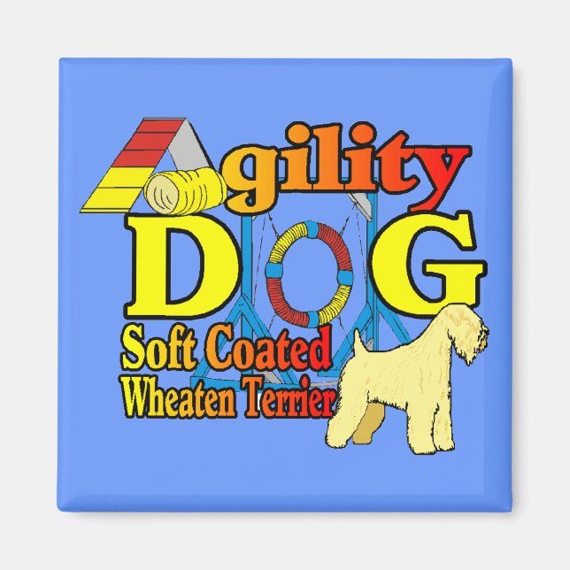 Imán Soft_Coated_Wheaten_Terrier_Agility (Frente)