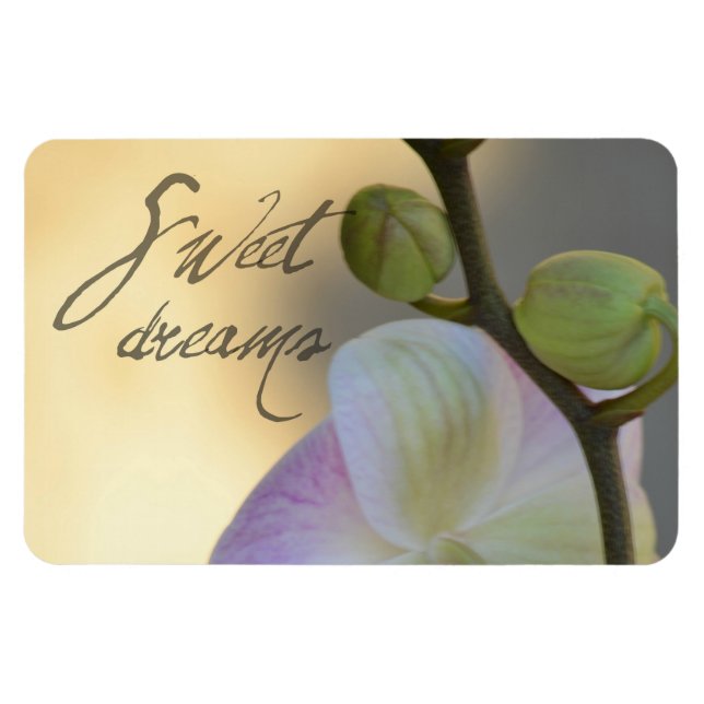 Imán Sogni D'oro (sueños dulces) Orquídea (Horizontal)