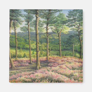 Imán Sol nocturno, Surrey Hills Pines en Pastel