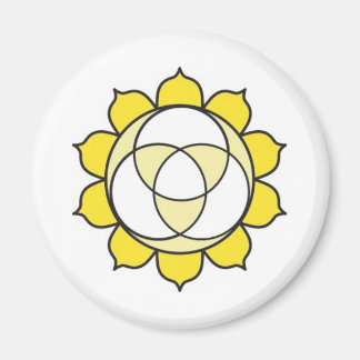 Imán Solar Plexus Chakra Magnet