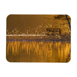 Imán Soleado banco junto al lago en la luz dorada