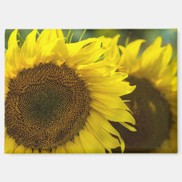 Imán - Solidaridad de Girasoles