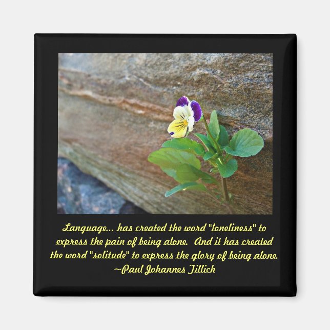 Imán Solidez (Frente)