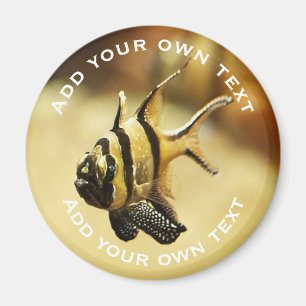 Imán Solitario Stripy Angelfish Subacuático Personaliza