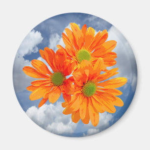Imán Sólo 3 Gerbera Daisy Blossoms + tu texto e ideas