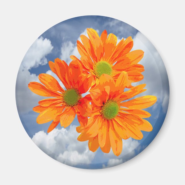 Imán Sólo 3 Gerbera Daisy Blossoms + tu texto e ideas (Frente)