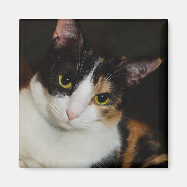 Imán Sólo colgando alrededor (Frente)