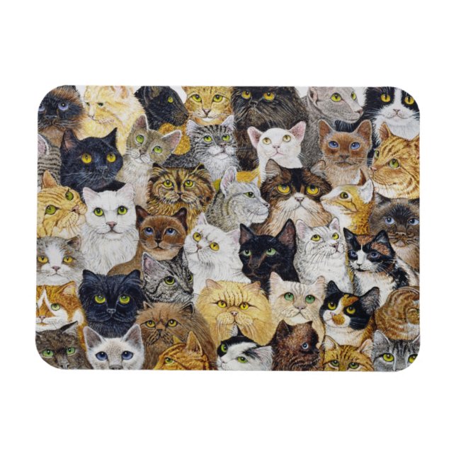 Imán Sólo el Whisker del gato (Horizontal)