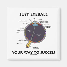 Imán Solo Eyeball Tu Camino Al Éxito (Anatomía De Ojos)