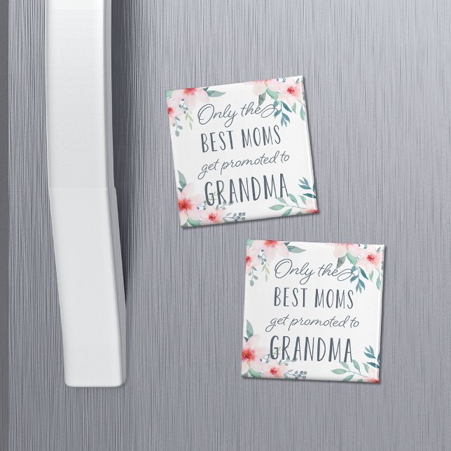 Imán Sólo las mejores madres son ascendidas a la abuela (Subido por el creador)