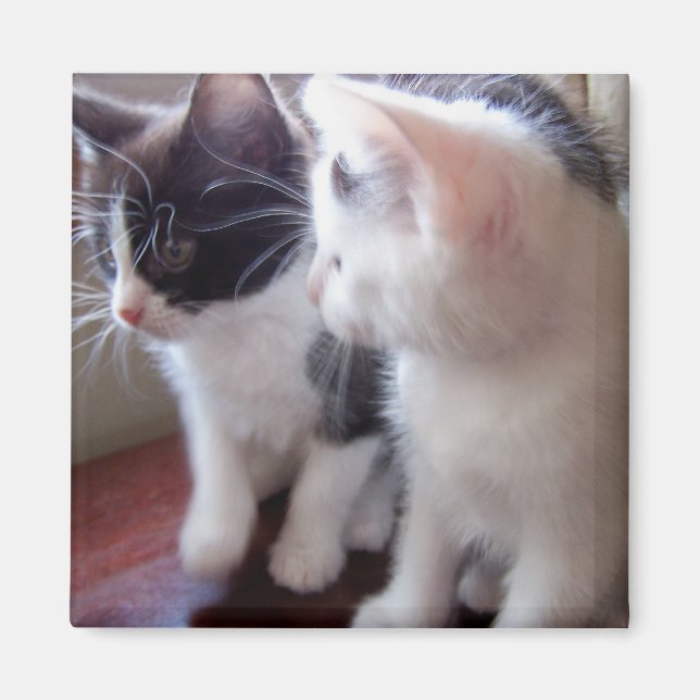 Imán Sólo nosotros dos Magnet (Frente)