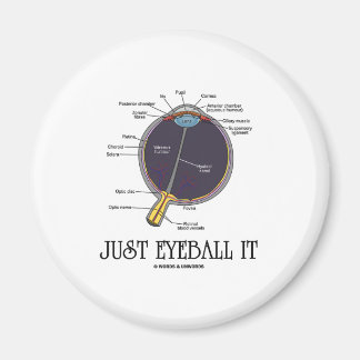 Imán Sólo Ojo (Aproximación De Anatomía De Ojos Diciend