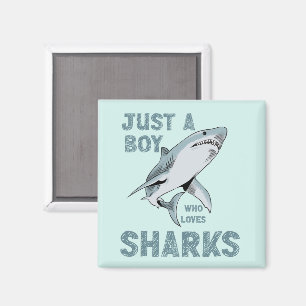 Imán Solo un chico que ama a Shark Shark Lover