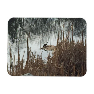 Imán Solsticio de invierno