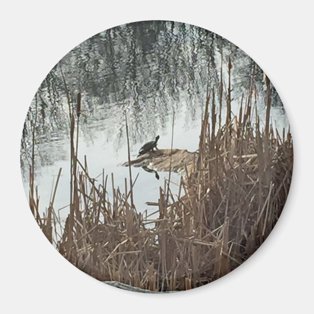 Imán Solsticio de invierno (Frente)