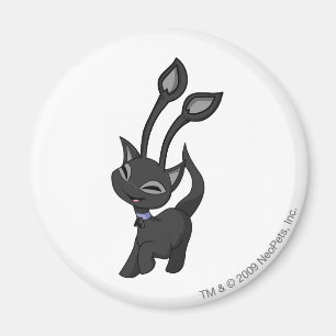 Imán Sombra de Aisha