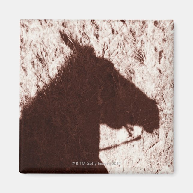 Imán sombra de cabeza de caballo en el suelo del sender (Frente)