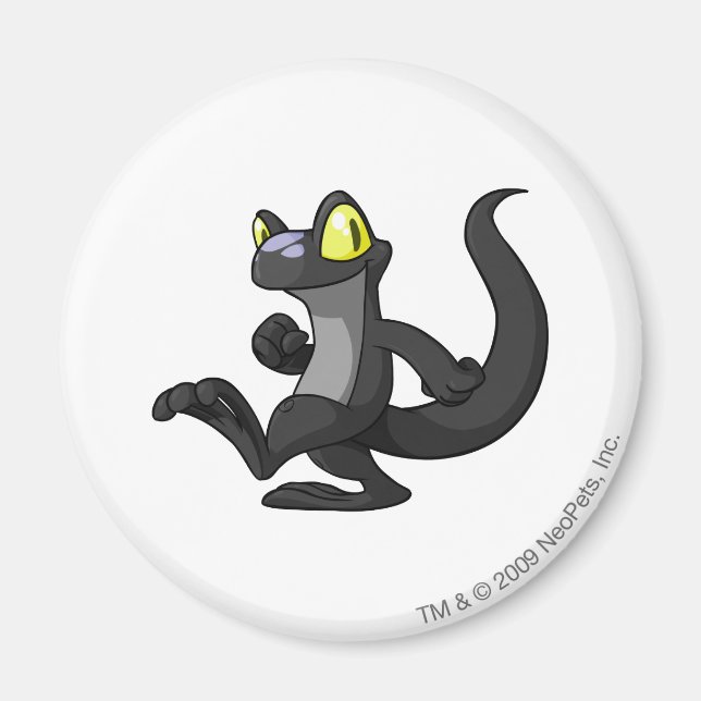 Imán Sombra de eco (Frente)