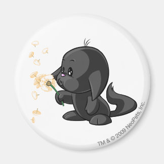 Imán Sombra de Kacheek