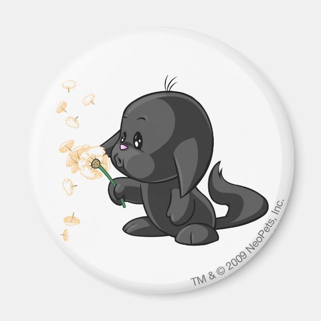 Imán Sombra de Kacheek (Frente)