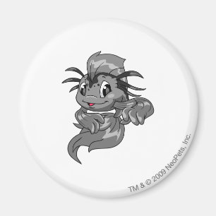 Imán Sombra de Koi