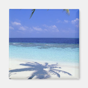 Imán Sombra de la palmera