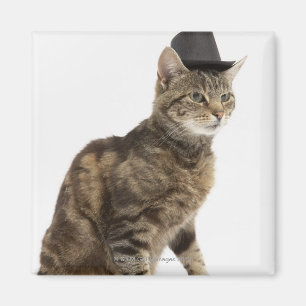 Imán Sombrero de copa que lleva del gato
