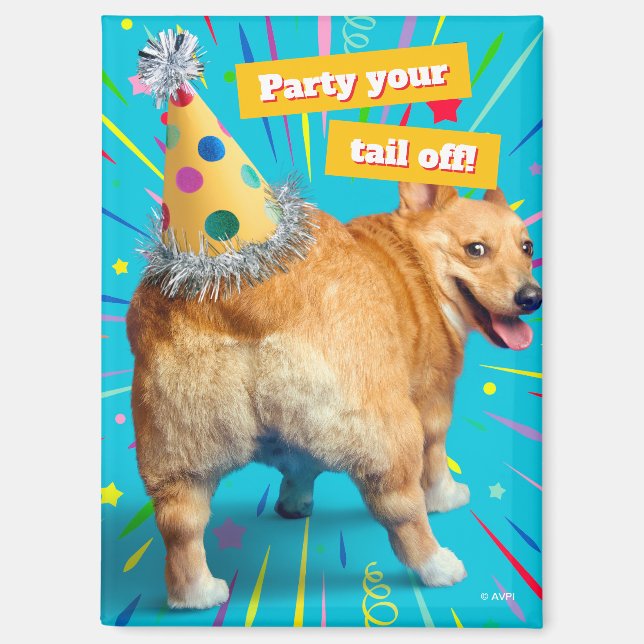 Imán Sombrero de cumpleaños para culo de Corgi (Anverso)