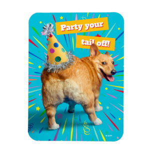 Imán Sombrero de cumpleaños para trasero de Corgi