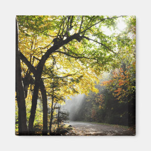 Imán sombrío del control de calidad de Ste-Anne