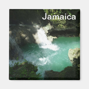 Imán Somerset Falls Jamaica Photo Magnet Waterfall