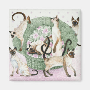 Imán Somos siameses si por favor